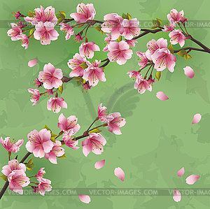 Vintage background with Japanese cherry tree sakura - vector image