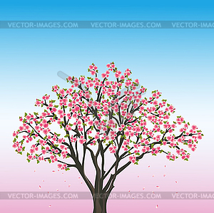 Beautiful spring background with sakura - japanese - vector EPS clipart