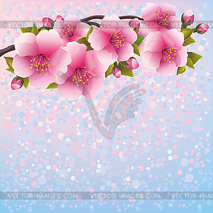 Purple background with sakura blossom - Japanese - vector image