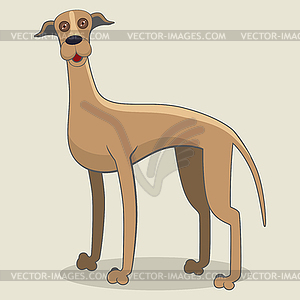 Greyhound - vector image