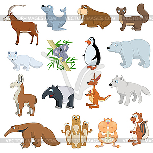 Various Wildlife Animals set - vector image