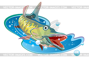 Fish, pike - vector image