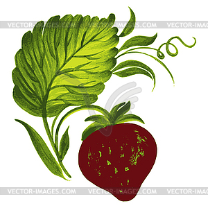 Strawberries - vector clipart