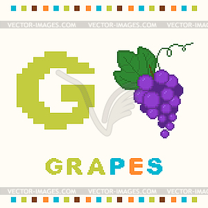 Alphabet for children, letter g and grapes isolated - vector clip art