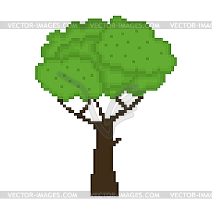 Tree isolated on white background - royalty-free vector clipart