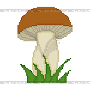 Mushroom isolated on white background - royalty-free vector image