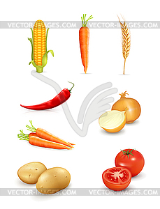 Огурцы и помидоры - векторизованный клипарт