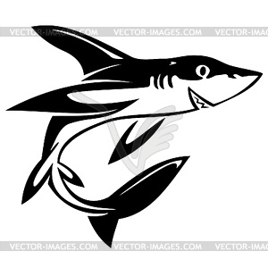 Katran shark - vector clipart / vector image