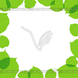 Green leaves frame on the white background - vector image