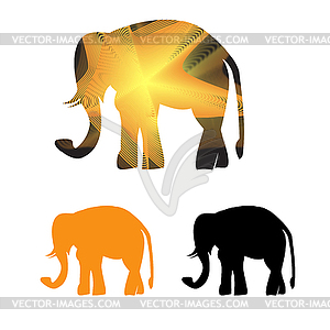 Golden framed elephant in light rays - vector clipart / vector image