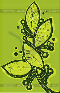 Bay leaf - vector clipart
