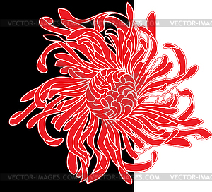 Red and black flower - vector image