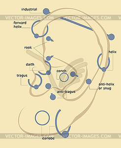 Пирсингом и серьгами в ухе - графика в векторе