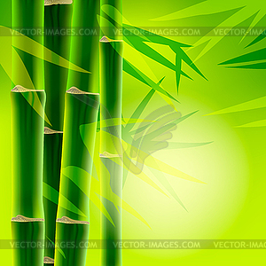 Bamboo background with copy space - vector clip art