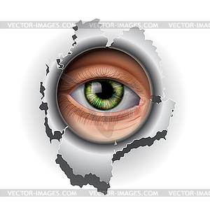 Interested Eye looking in hole - vector image