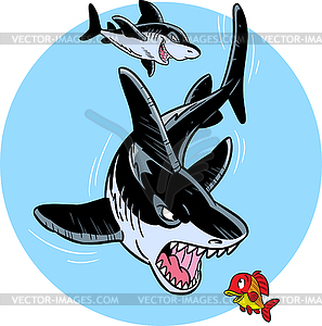 Shark - vector clip art