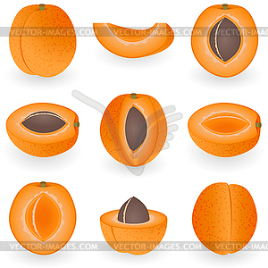 Icon Set Apricot - vector EPS clipart