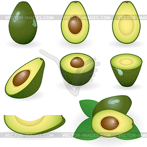 Avocado - vector clipart