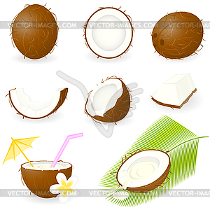 Icon Set Coconut - vector clipart