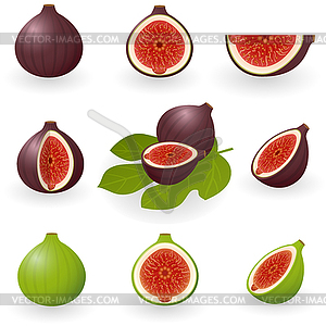 Figs - vector clipart