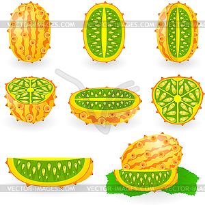 Kiwano - vector clipart