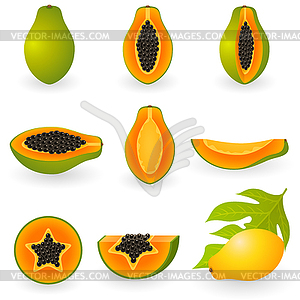 Papaya - vector clipart