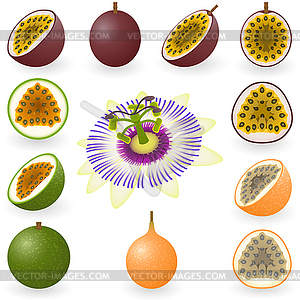 Passion fruit - vector clipart