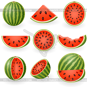 Watermelon - vector clipart