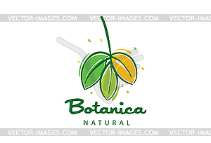 Logo with inscription Botanica and painted leaves - vector clipart