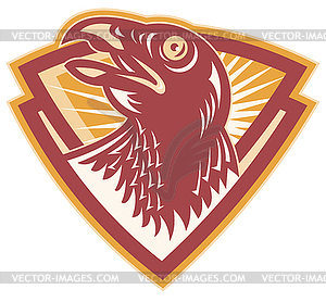 Hawk Falcon Bird Head Shield - vector clipart