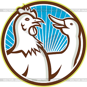 Chicken With Goose Cartoon - vector image