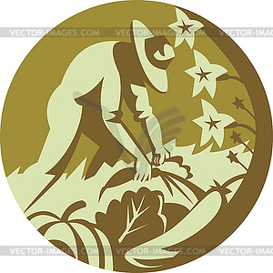 Organic Farmer Harvesting Vegetable Crops Retro - vector image