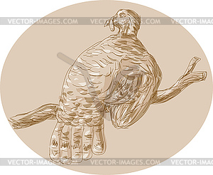 Wild Turkey Perching On Branch Sketch - vector clipart