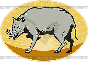 Babirusa wild pig attack - vector clipart