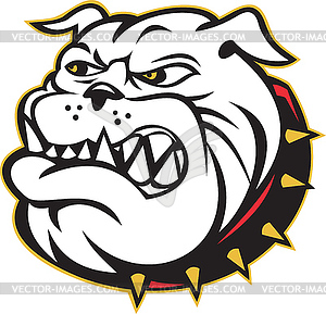 Bulldog mongrel dog head angry - vector image