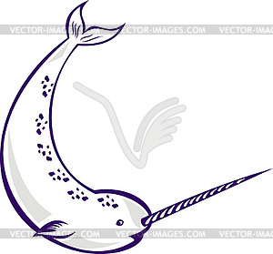 Narwhal Monodon monoceros unicorn whale - vector image