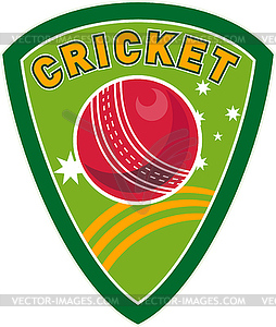 Cricket sports ball shield stars - vector image