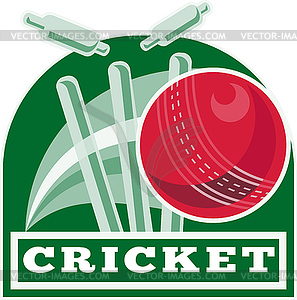 sports cricket clipart