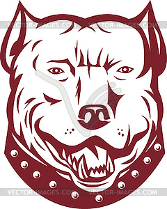 Pitbull pit bull terrier mongrel dog head front - vector clipart