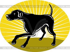 Pointer dog with sunburst retro style - vector clipart / vector image