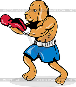 Boxer dog with gloves - vector image