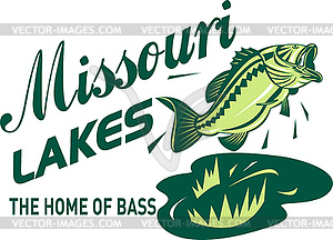 Largemouth bass missouri lakes - vector clip art