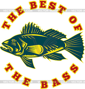 Sea Bass best of bass - vector image