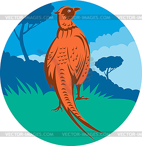 Pheasant bird walking with tree - vector image