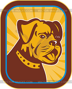 Bulldog and Boston Terrier hybrid - vector image