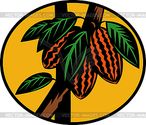 Cacao or cocoa fruit on tree - color vector clipart