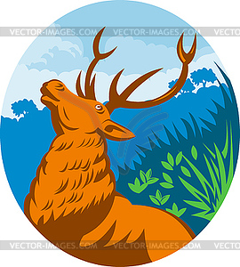 Roaring red stag deer with forest - vector clipart