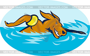 Cartoon dog swimming - royalty-free vector image