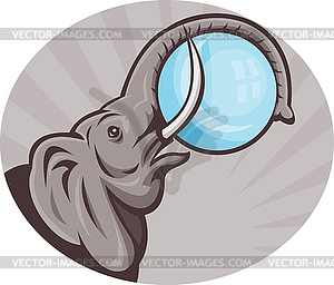 African elephant with sphere ball - vector clipart