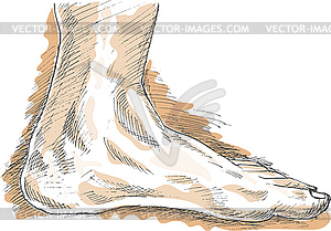 Human Left Foot viewed of side - vector image